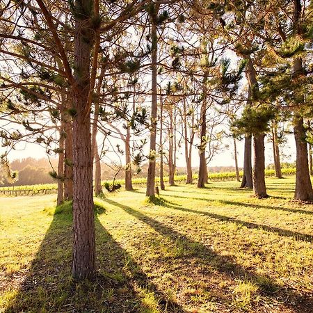 Ruse Estate Retreat Margaret River Rosa Glen Exteriör bild