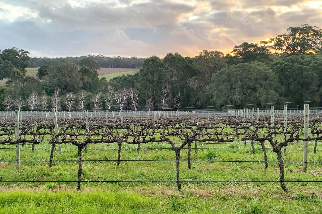 Ruse Estate Retreat Margaret River Rosa Glen Exteriör bild